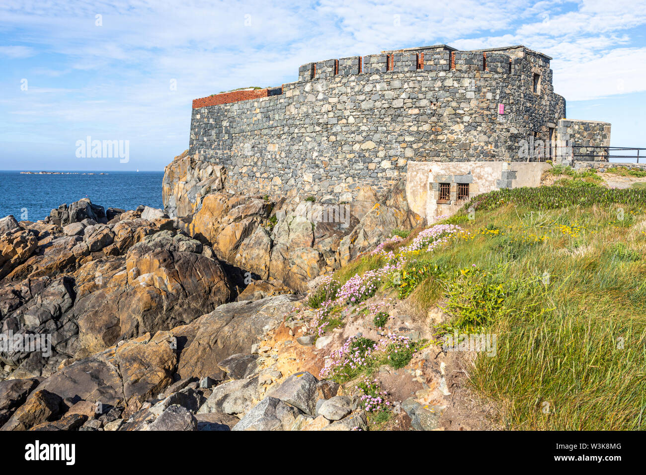 Meer Sparsamkeit oder Meer rosa an der Küste neben Fort Doyle gebaut Anfang des 19 C als Schutz vor einer französischen Invasion., Fontenelle Bay, Guernsey, Großbritannien Stockfoto