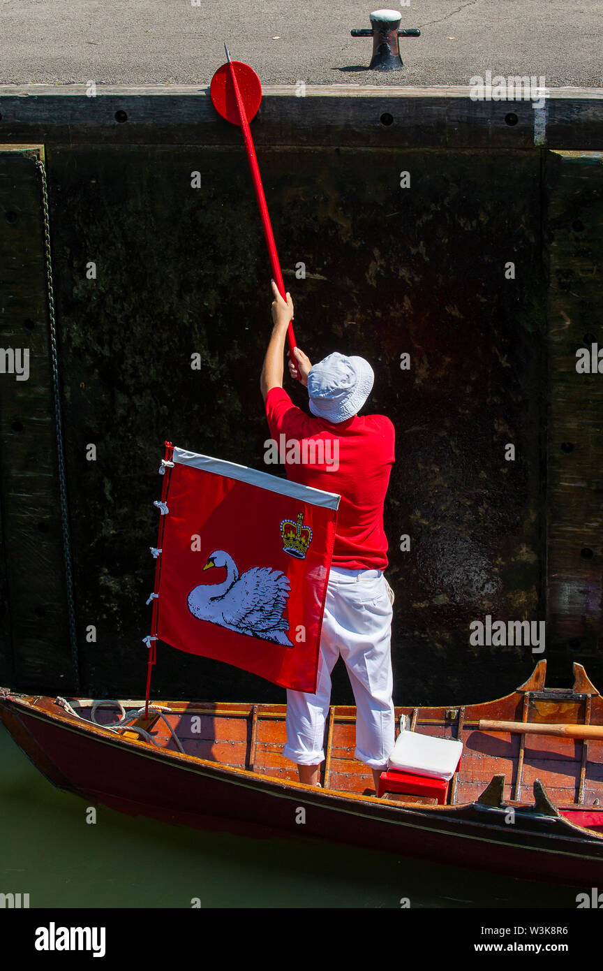 Tag Zwei der Swan Upping, Royal Borough of Windsor und Maidenhead, Berkshire, Großbritannien. 16. Juli, 2019. Ein Royal Swan Obere hält eine traditionelle Holz- Skiff noch als es durch Boulter Lock's bei 70563. Swan Upping ist die traditionelle britische jährliche Volkszählung von Schwänen und cygnets Auf der Themse von der Royal Swan zusammen Oberteil mit dem Swan Oberteil von der Winzer und Dyers' Livery unternehmen. Credit: Maureen McLean/Alamy leben Nachrichten Stockfoto