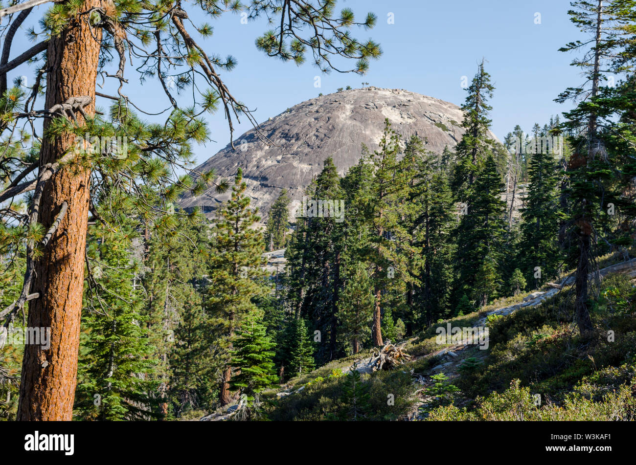 Sentinel Dome. Yosemite Nationalpark, Kalifornien, USA. Stockfoto