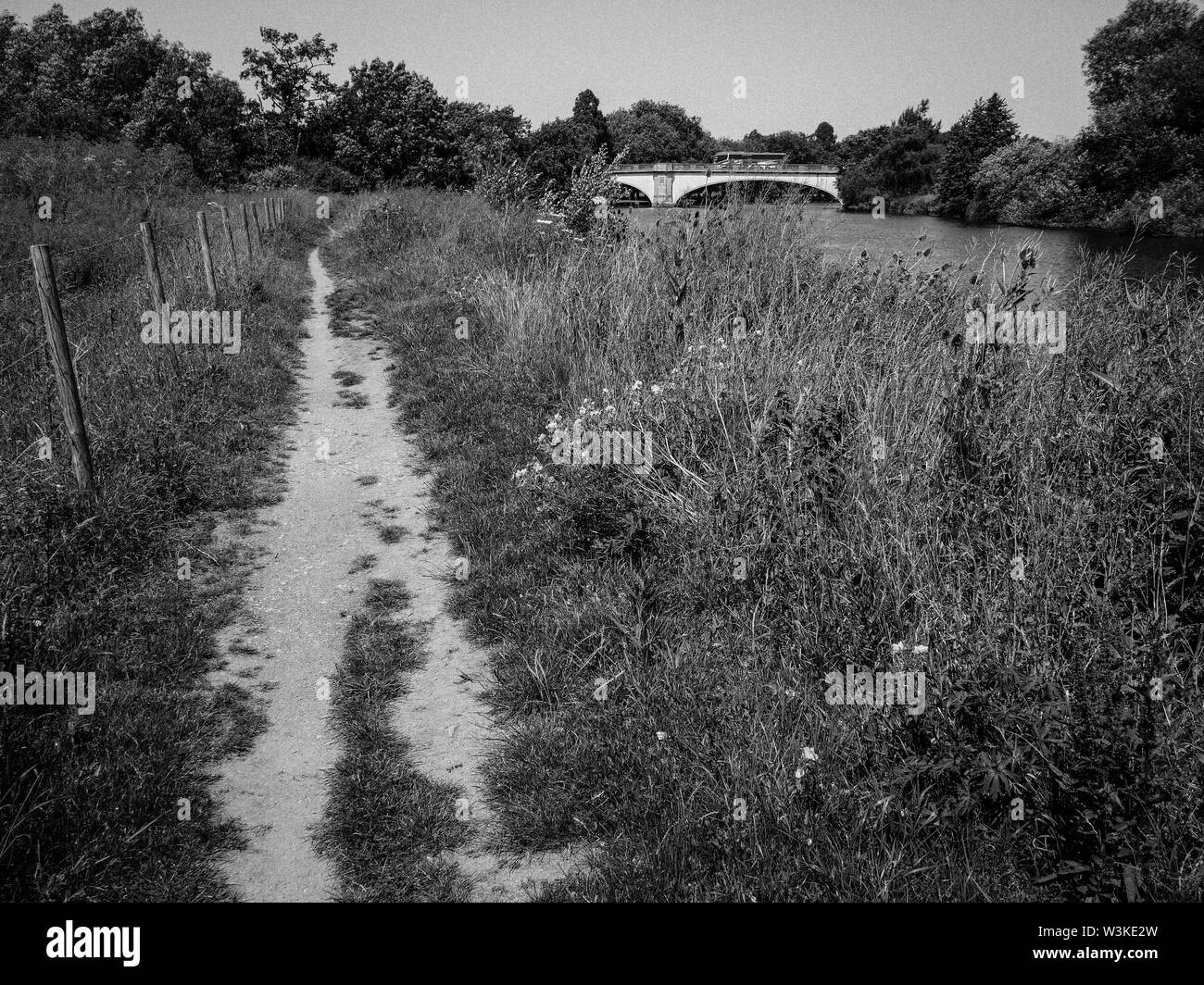 Schwarze und weiße Landschaft, die Themse Weg kreuzt, Albert Bridge, Datchet, Berkshire, England, UK, GB. Stockfoto