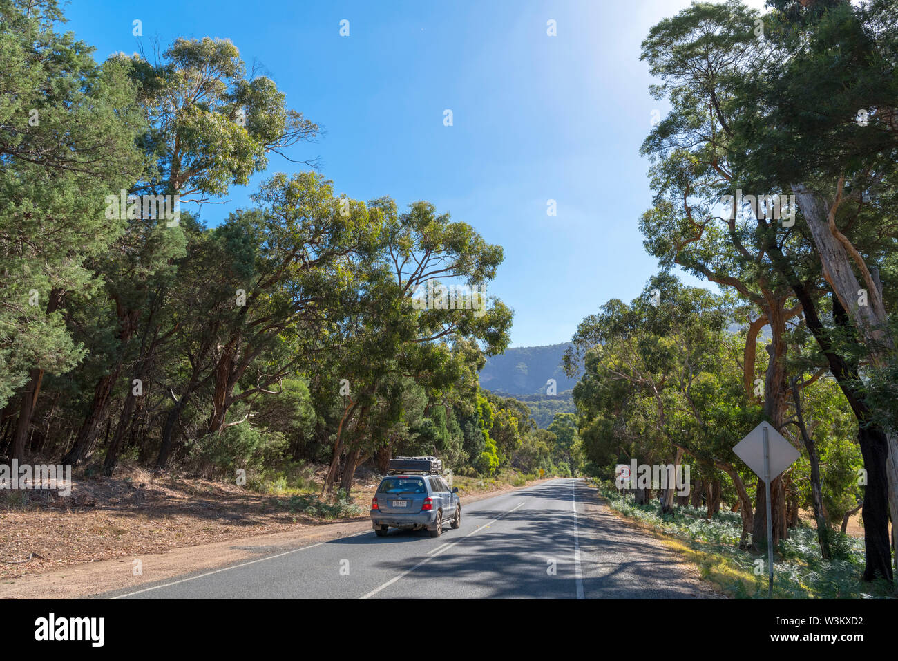 Auto auf Grampians Road (C216/C222) in der Nähe von Halls Gap, Grampians National Park, Victoria, Australien Stockfoto