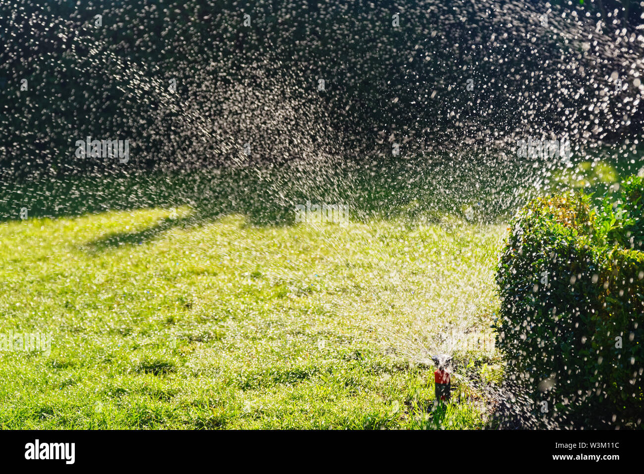 Die Bewässerung von einem grünen Rasen durch Sprinkleranlage Stockfoto