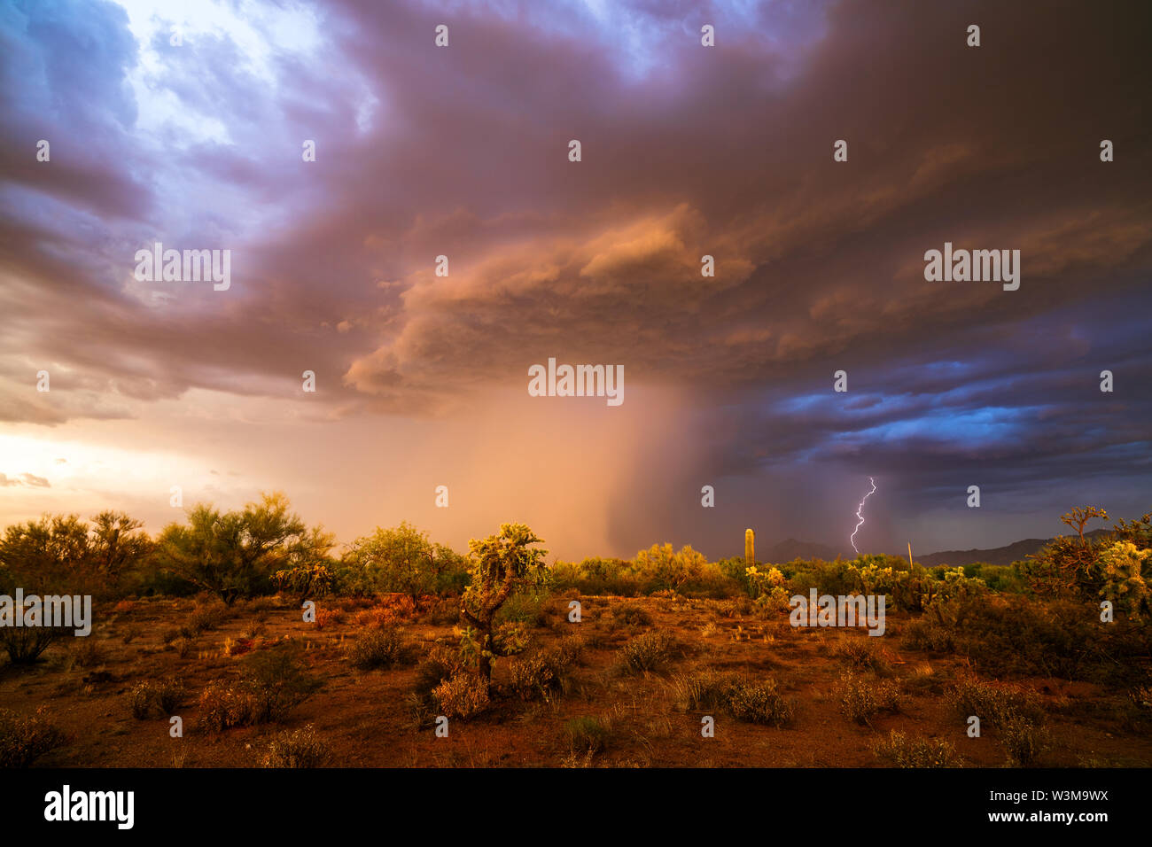Ein Monsun-Gewitter mit Blitzen, dunklen Wolken und starkem Regen zieht durch die Wüste in der Nähe von Santa Rosa, Arizona Stockfoto