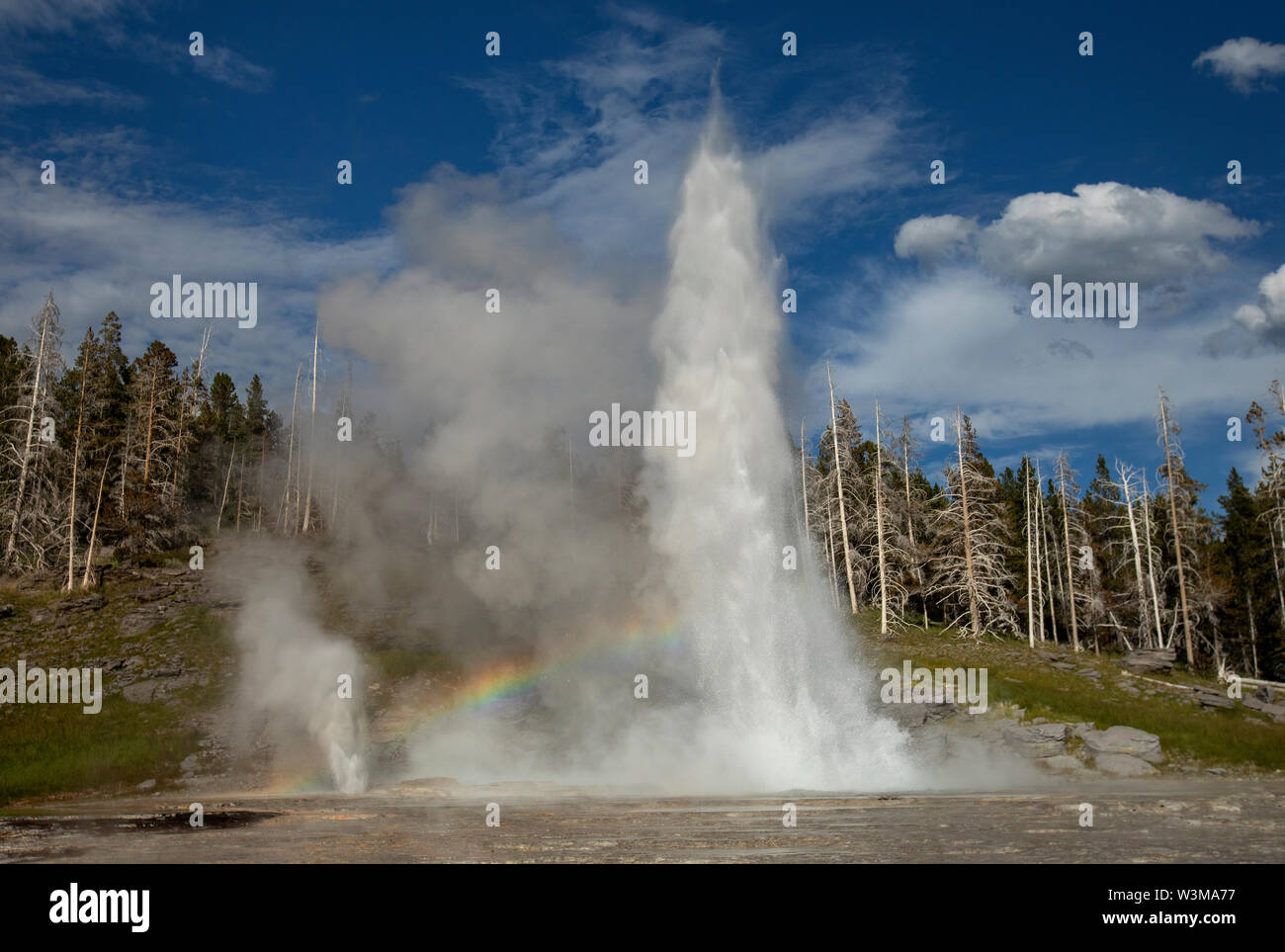 Grand Geysir mit Regenbogen bei Yellwstone Nationalpark Stockfoto