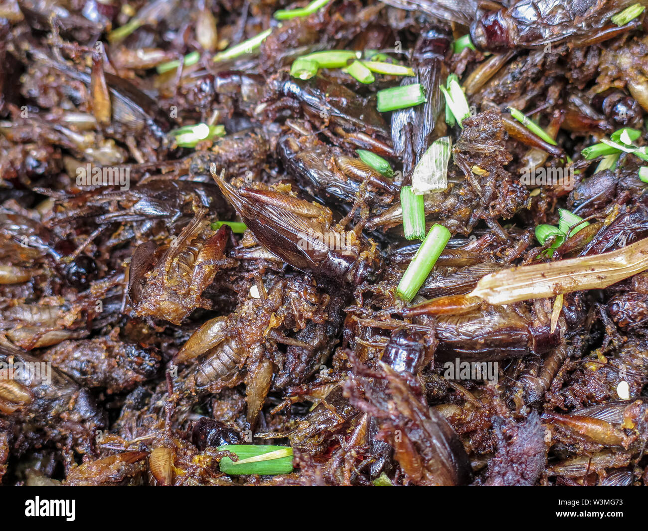 Spinnen, Grillen, Schaben und andere gebratene Insekten in einem  kambodschanischen Markt Stockfotografie - Alamy