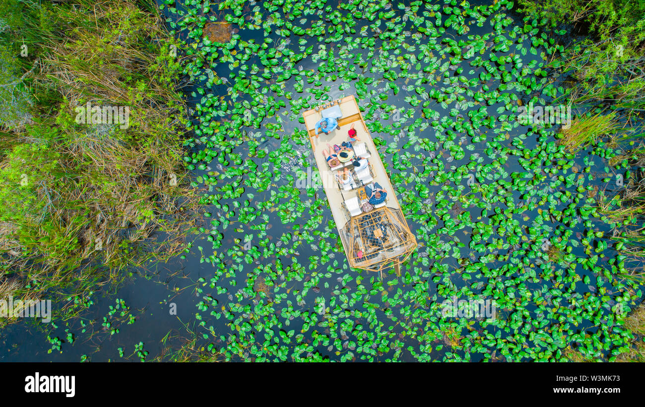 Airboat Tour in den Everglades National Park. Miami. Florida. USA. Stockfoto