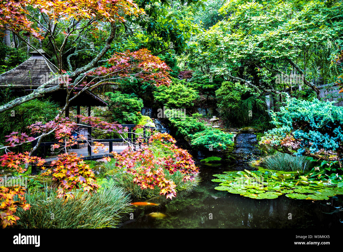 Der japanische Garten in St Mawgan, Cornwall, Großbritannien Stockfoto