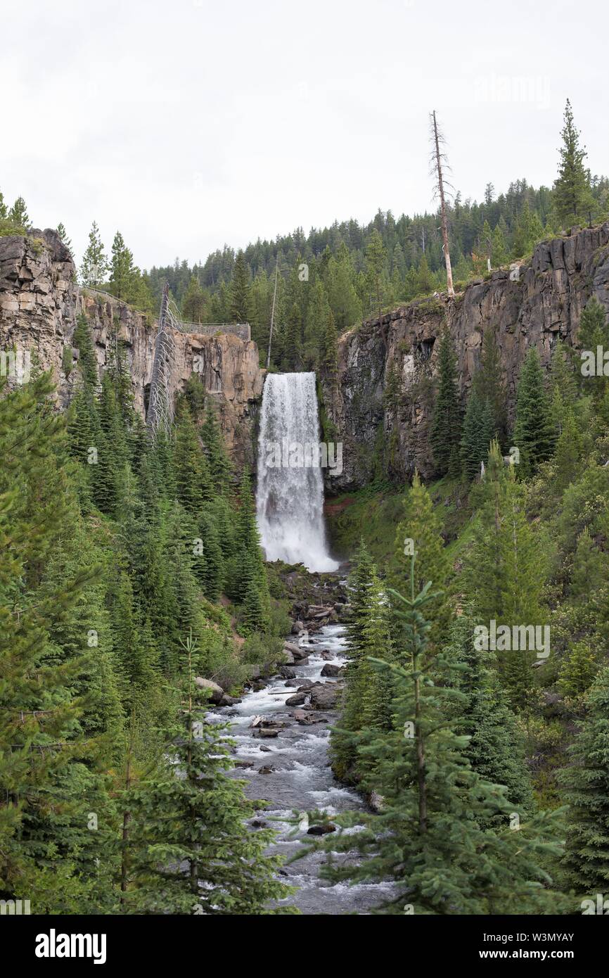 Tumalo fällt in der Nähe von Bend, Oregon, USA. Stockfoto