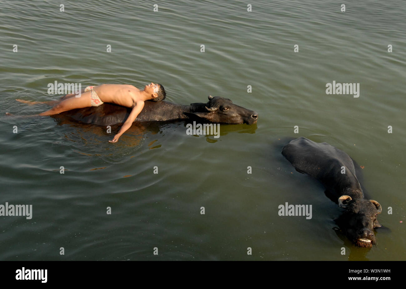 Ein Junge Schwimmen mit einem Büffel am Flussbett der Benaras-India Stockfoto