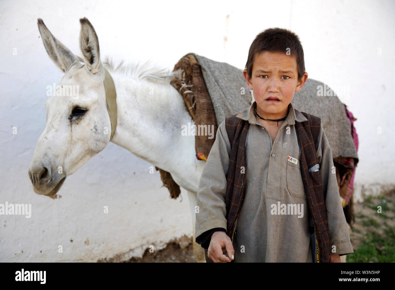 Ein Junge aus der ethnischen Hazara Community, in der Ortschaft Ragshad, in der zentralen Provinz Bamyan. Afghanistan, 7. Juli 2007. Stockfoto