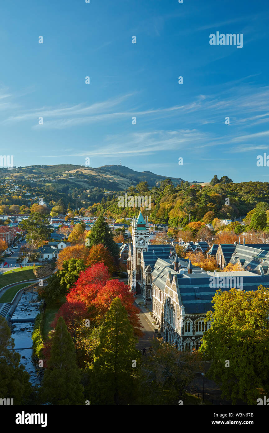 Otago University Campus, mit dem historischen Uhrturm Registry Bau und  Frühjahr blühen Stockfotografie - Alamy