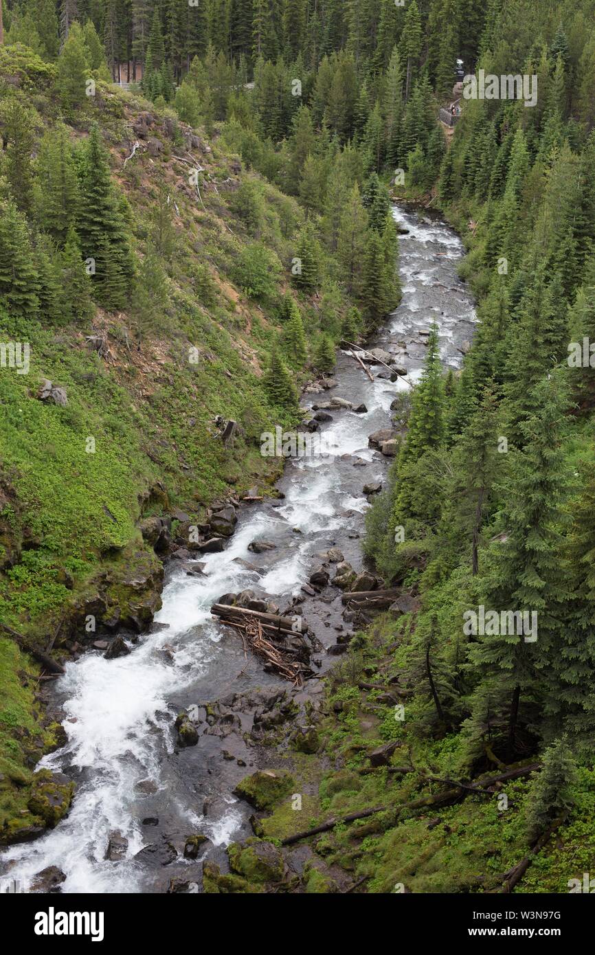 Tumalo Creek im Deschutes National Forest in Oregon, USA. Stockfoto