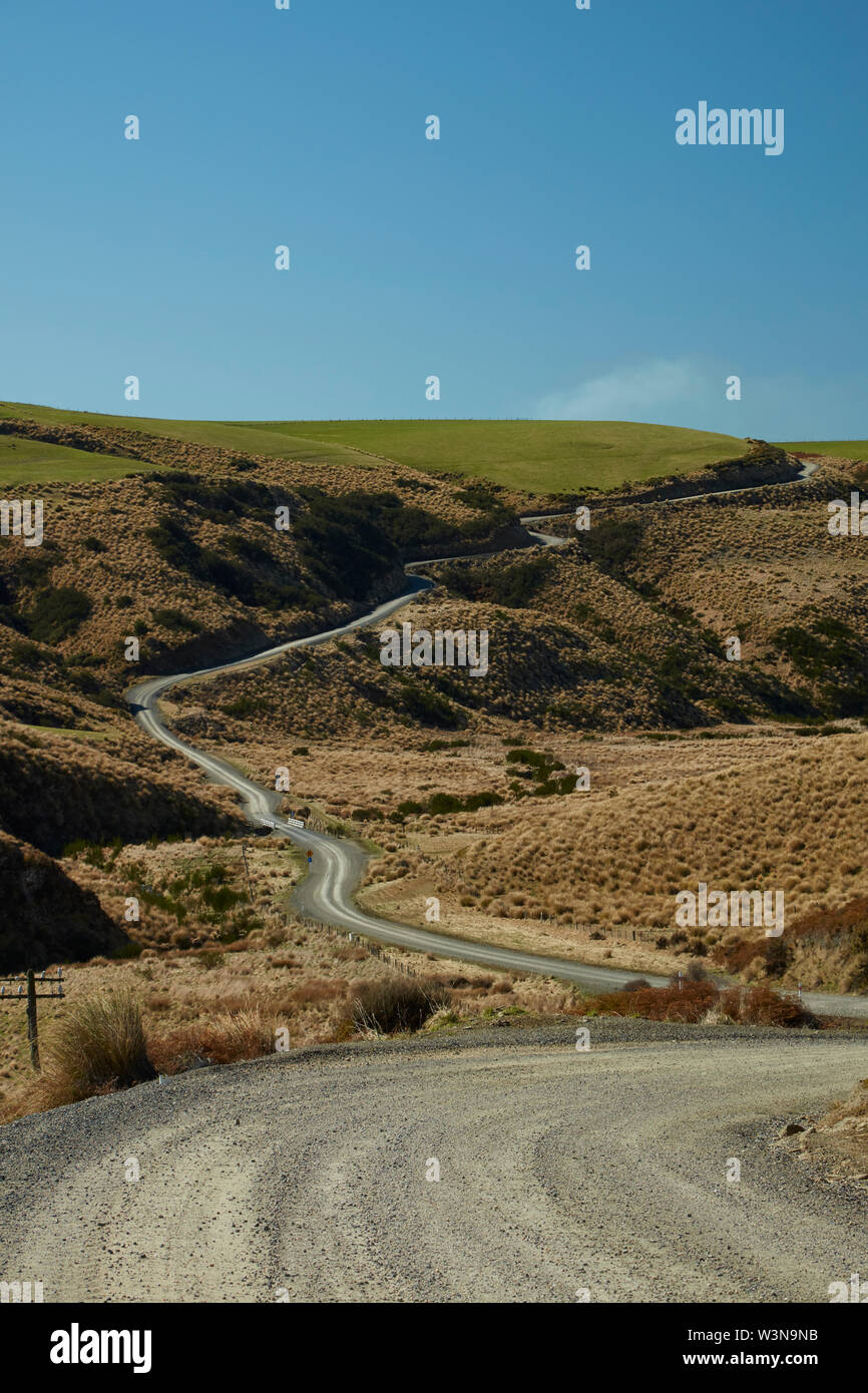 Straße durch Tussocks, in der Nähe der See Mahinerangi, Otago, Südinsel, Neuseeland Stockfoto