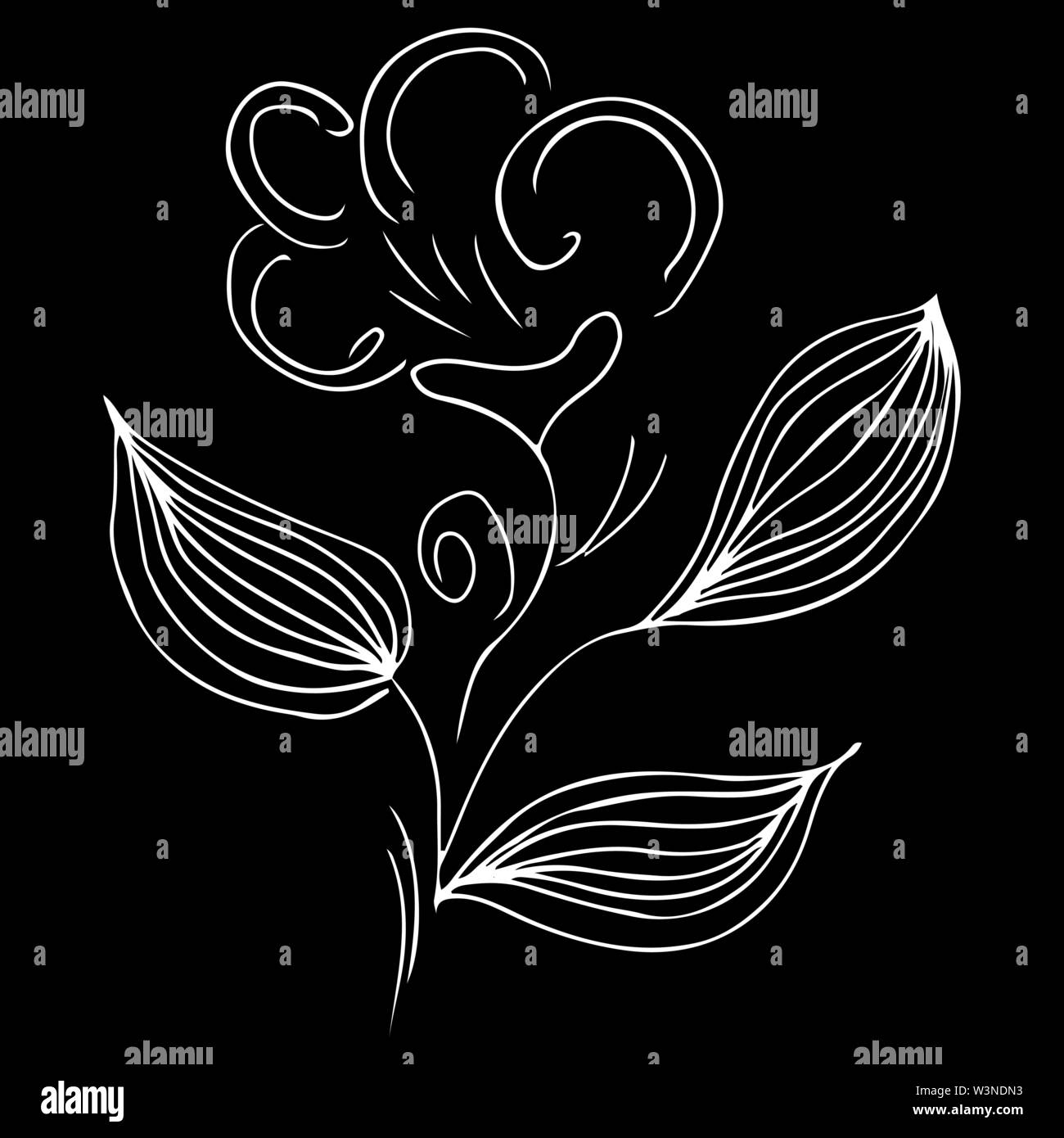Moderne Hand Gezeichnet Abbildung Mit Schwarzer Blume Outline Hand Linie Auf Weissem Hintergrund Einfachen Vektor Illustration Blume Hintergrund Stock Vektorgrafik Alamy