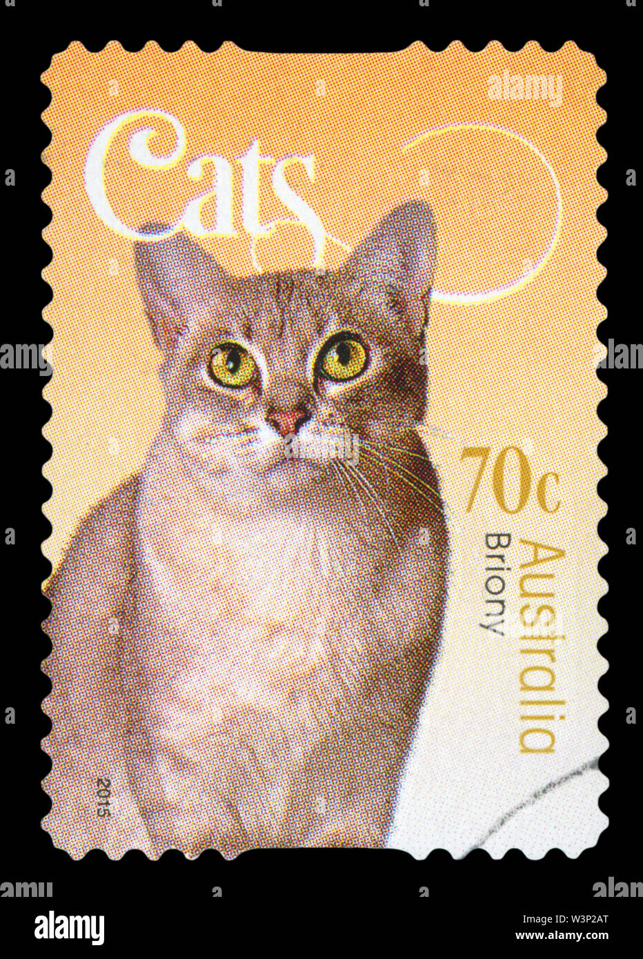 Australien - ca. 2015: einen Stempel in Australien gedruckten zeigt eine Katze Briony, circa 2015. Stockfoto