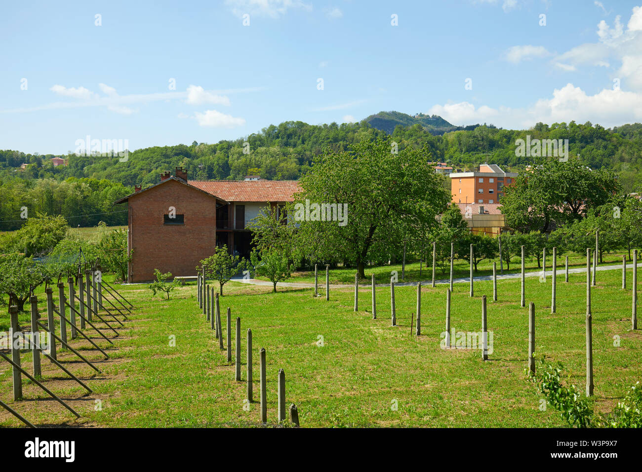 Grüne Gras Wiese und ländliche Haus in sonniger Sommertag, Italien Stockfoto