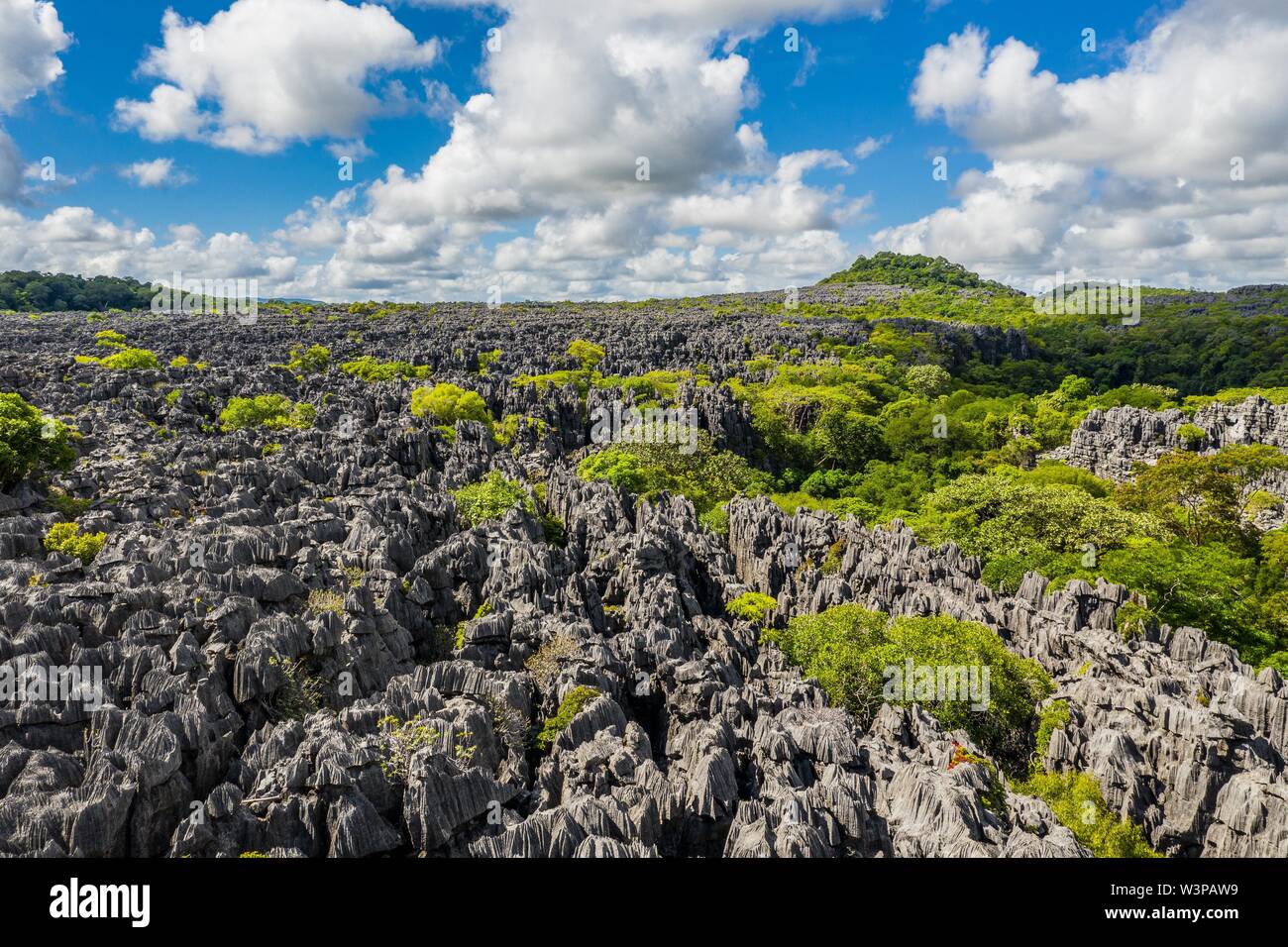 Zerklüftete Karstlandschaft, Tsingy von Ankarana, Ankarana Nationalpark, Drone, Madagaskar, Madagaskar Stockfoto