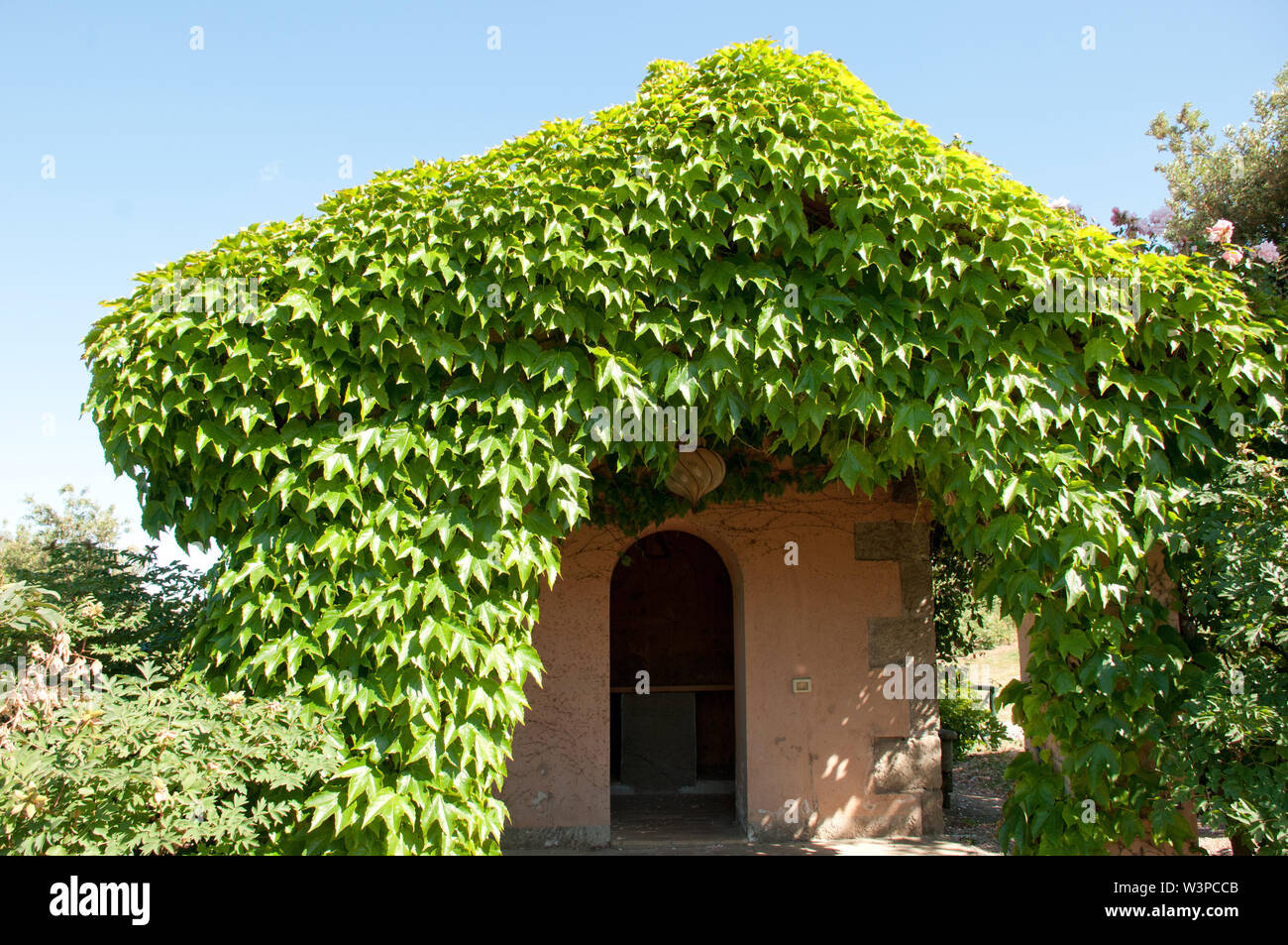 Europa, Italien, Latium, Vitorchiano, Moutan botanischer Garten Stockfoto