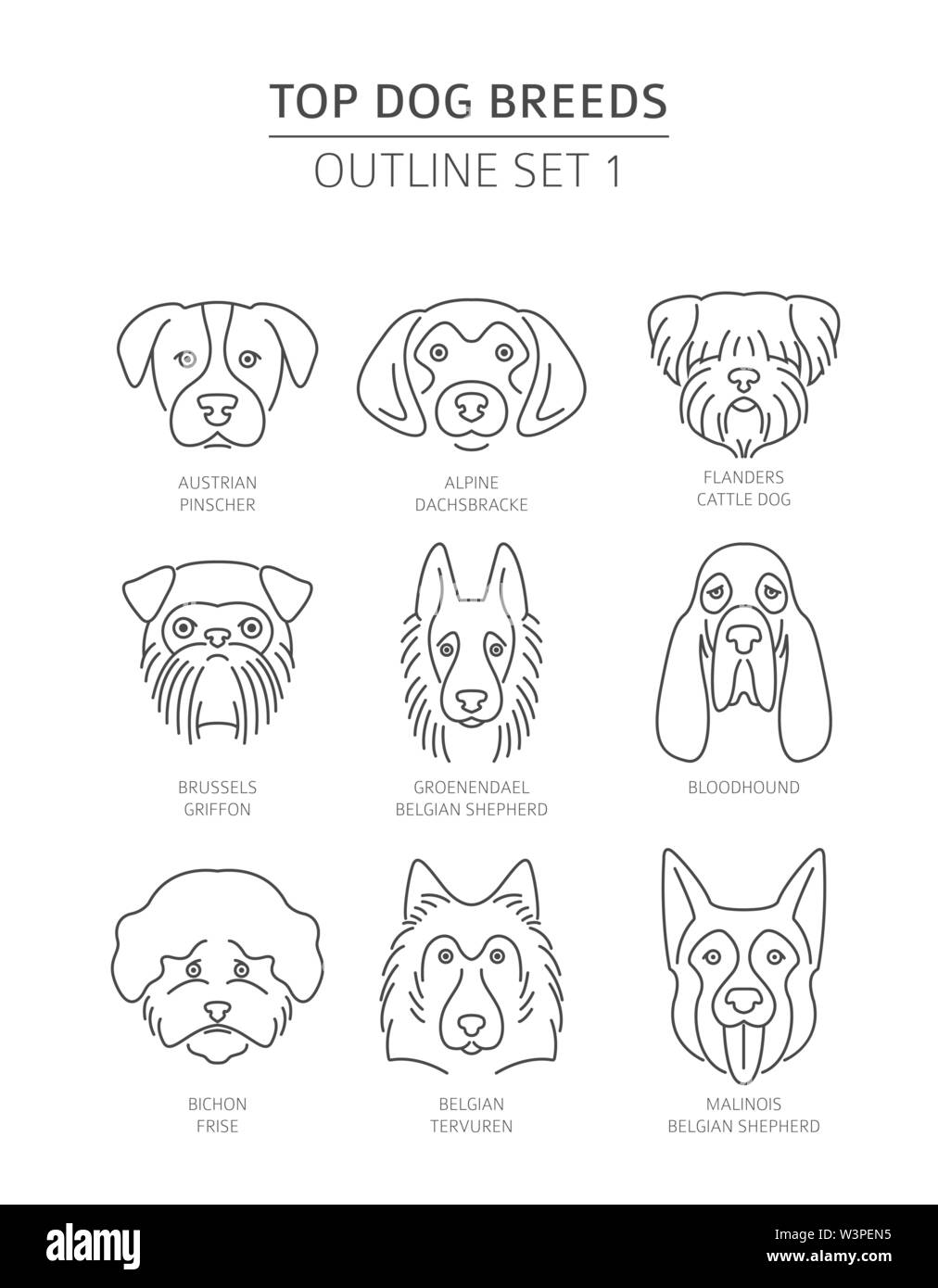 Top Hunderassen. Pet-outline Sammlung. Vector Illustration Stock Vektor