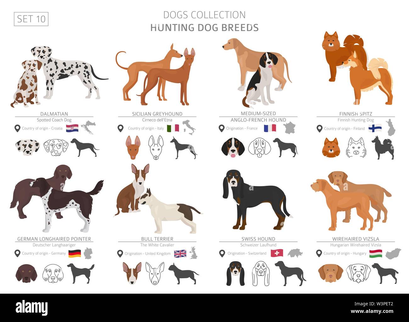 Jagdhunde Sammlung isoliert auf Weiss. Flat Style. Andere Farbe und Herkunftsland. Vector Illustration Stock Vektor