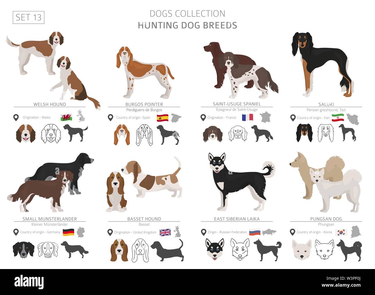 Jagdhunde Sammlung isoliert auf Weiss. Flat Style. Andere Farbe und Herkunftsland. Vector Illustration Stock Vektor