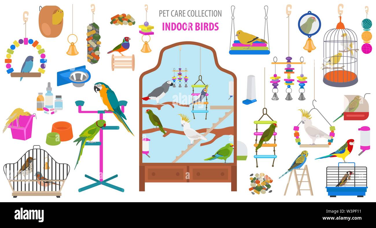 Pet-Gerät Icon Set Flat Style isoliert auf Weiss. Vögel care Collection. Erstellen Sie eigene Infografik über Papagei, Sittich, kanarischen, Drossel, Fink, Jay Stock Vektor