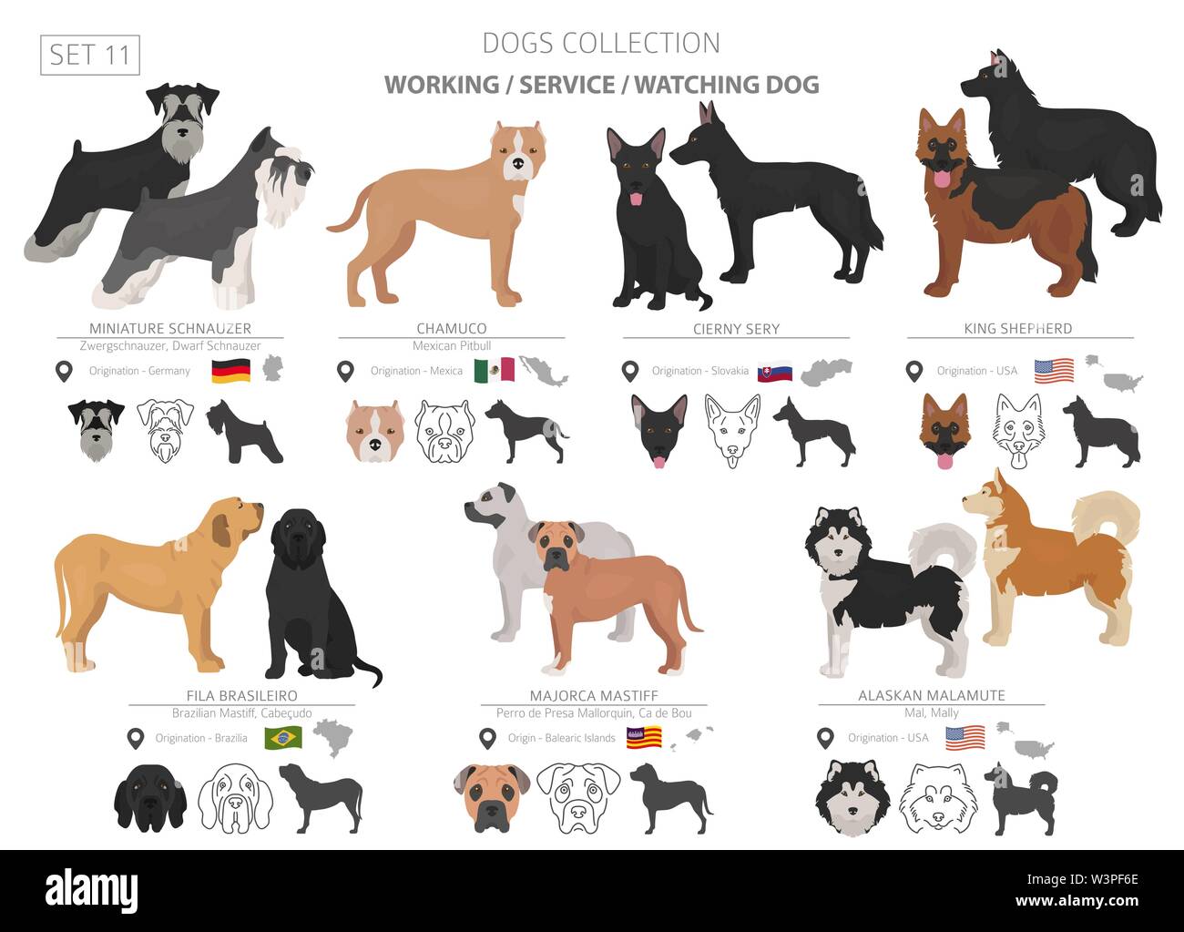Arbeiten, Service und beobachten Hunde Sammlung isoliert auf Weiss. Flat Style. Andere Farbe und Herkunftsland. Vector Illustration Stock Vektor