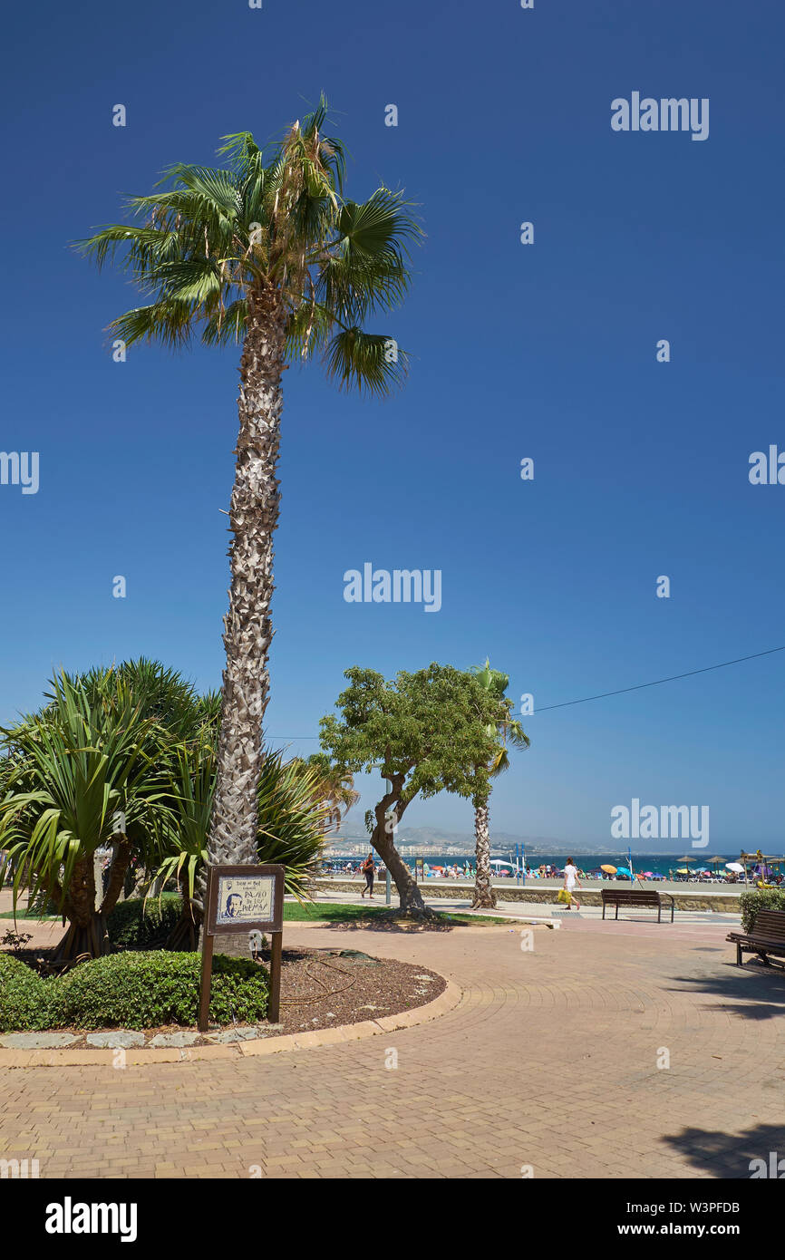 Paseo de los Poemas, Manuel Alcántara. Torre del Mar, Provinz Málaga, Andalusien, Spanien. Stockfoto