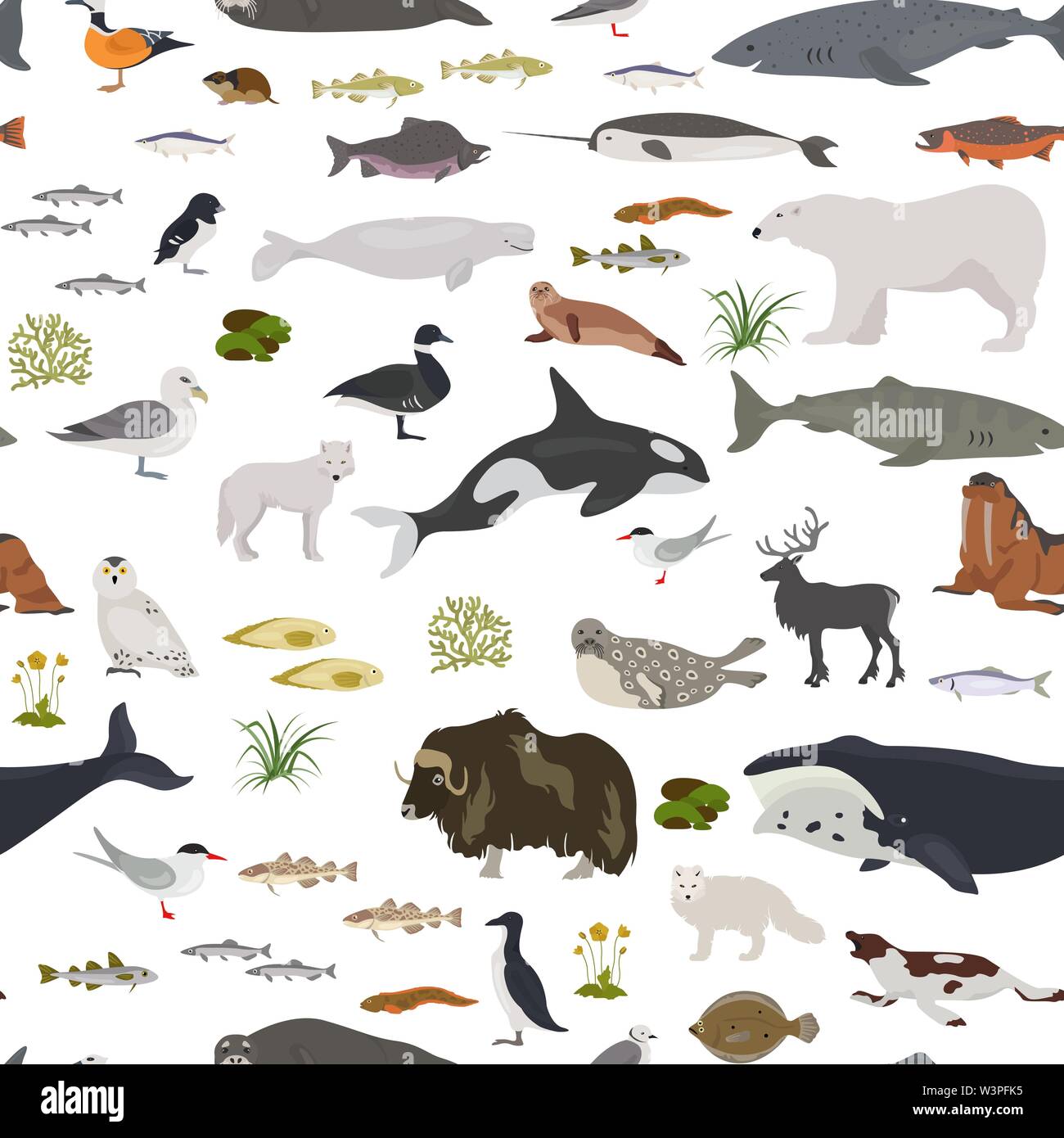 Eis und polaren Wüste biome. Terrestrischen Ökosystem Weltkarte. Arktische Tiere, Vögel, Fische und Pflanzen nahtlose Muster. Vector Illustration Stock Vektor