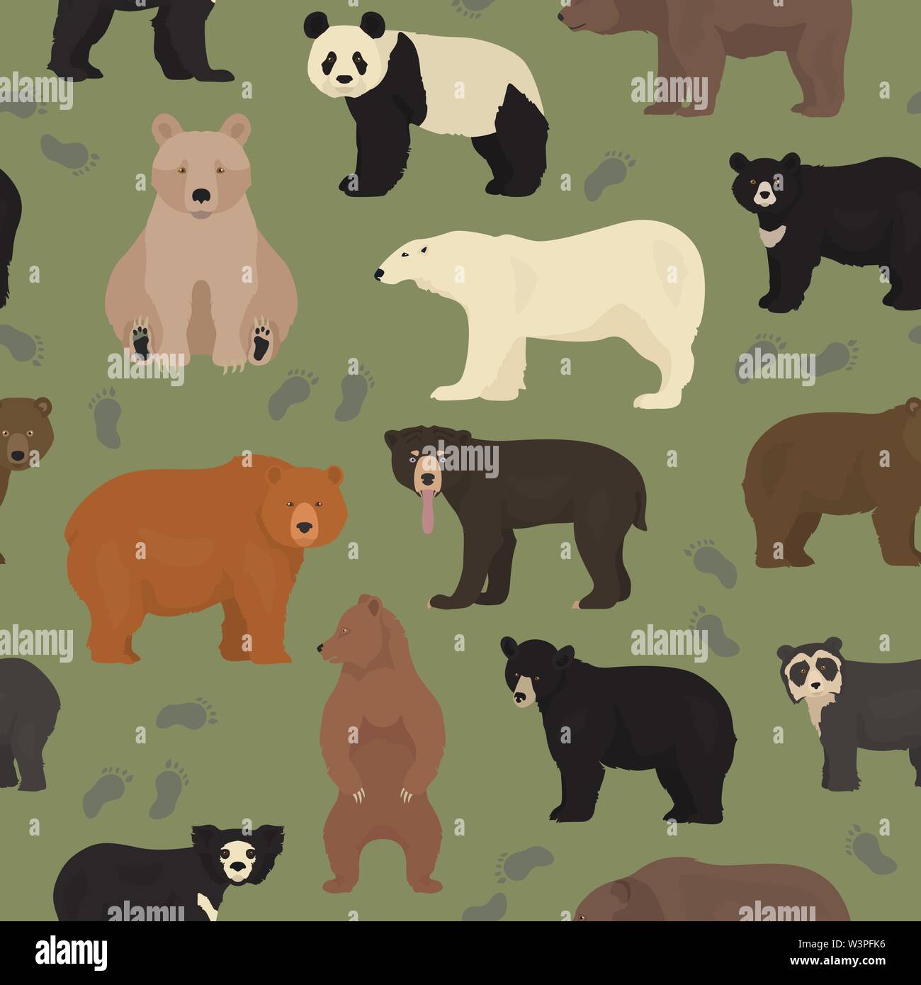 Alle Welt tragen Arten in einem Set. Bären nahtlose Muster. Vector Illustration Stock Vektor