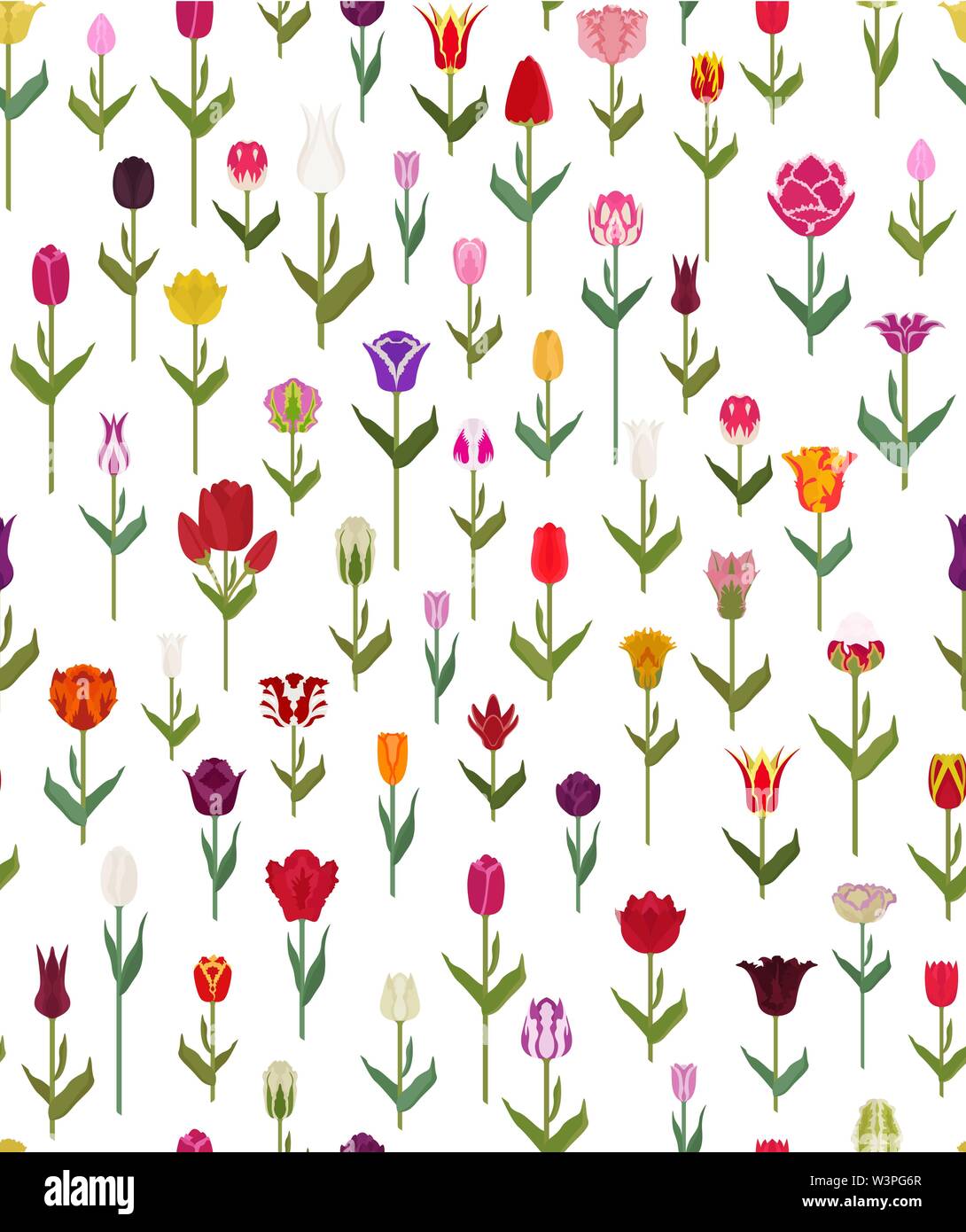 Tulip Sorten Flachbild nahtlose Muster. Garten Blumen und Zimmerpflanzen. Vector Illustration Stock Vektor