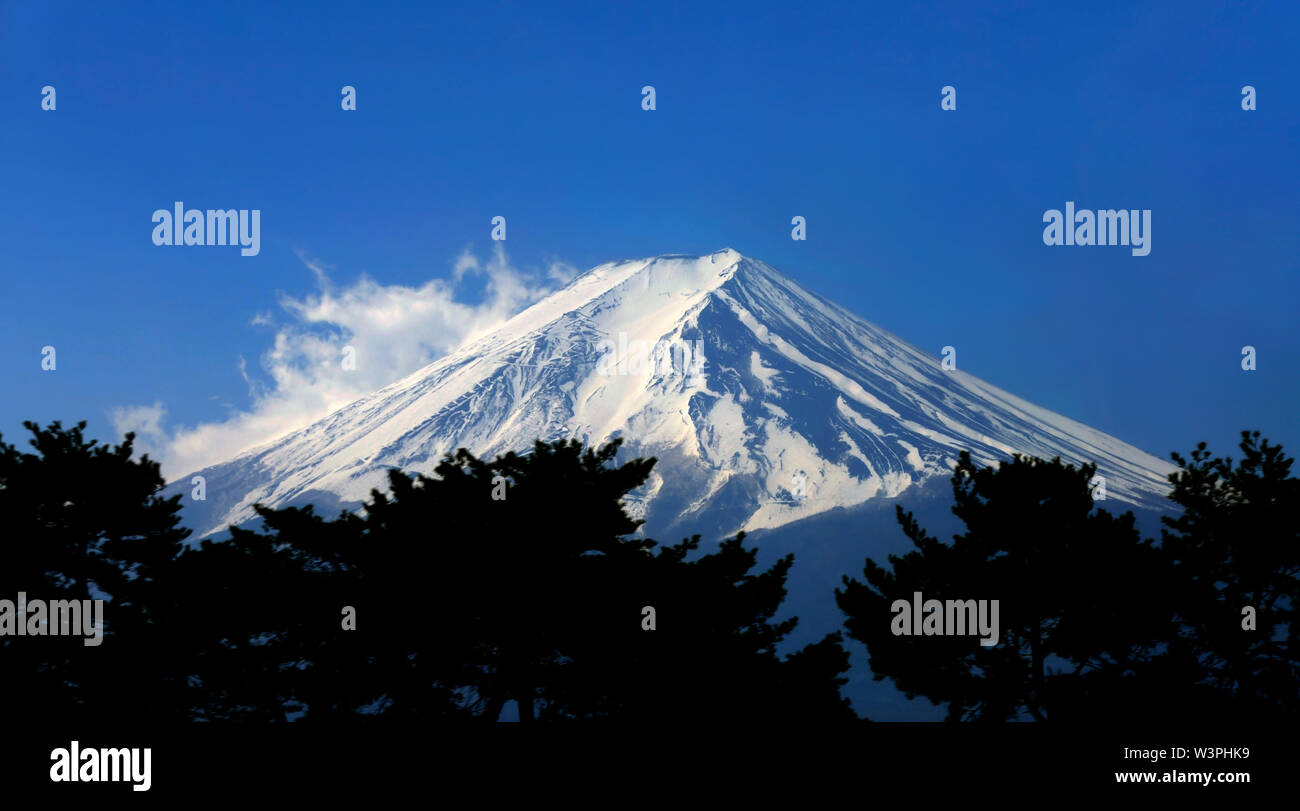 Trainer Ausflug zum Mount Fuji, Japan Stockfoto
