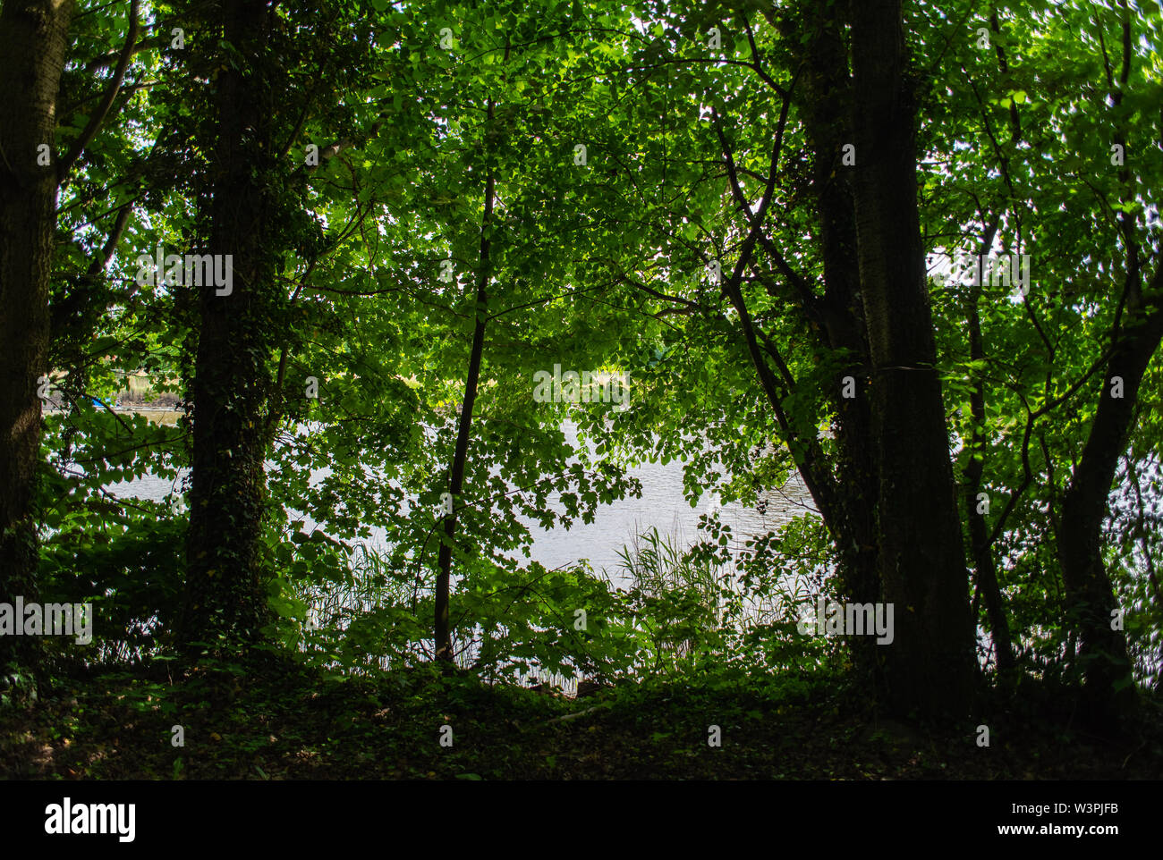 Eine Fotosafari durch die Knoops Park in Bremen Lesum Stockfoto