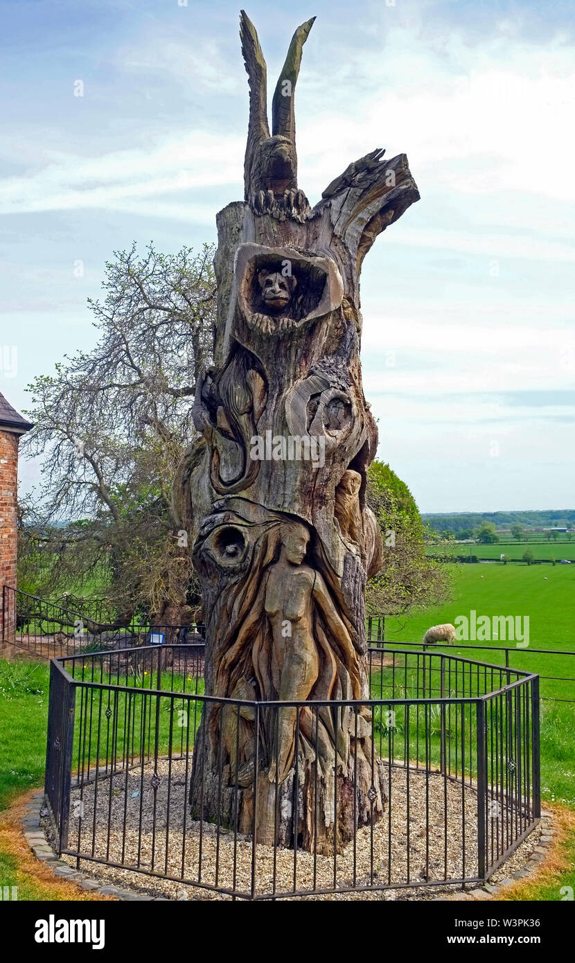 Skulptur im Baumstamm Die Plassy, Wrexham North Wales UK Vereinigtes Königreich Stockfoto