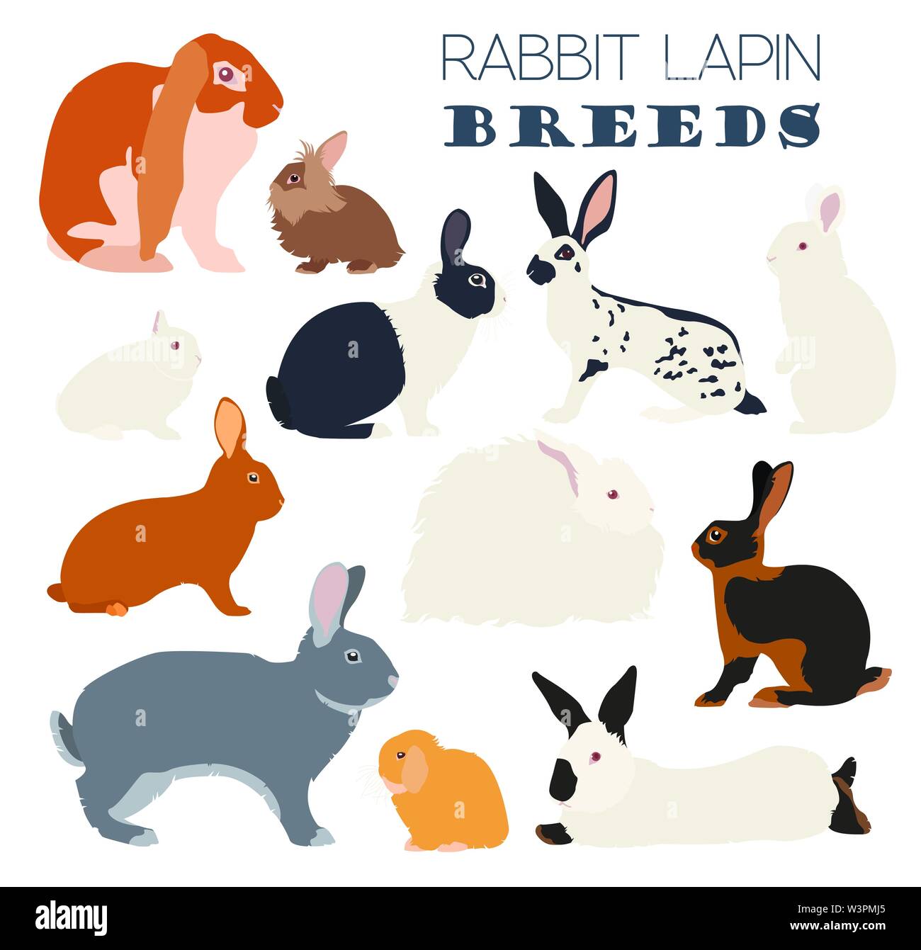 Kaninchen, Lapin-Rasse-Icon-Set. Flaches Design. Vektor-illustration Stock Vektor