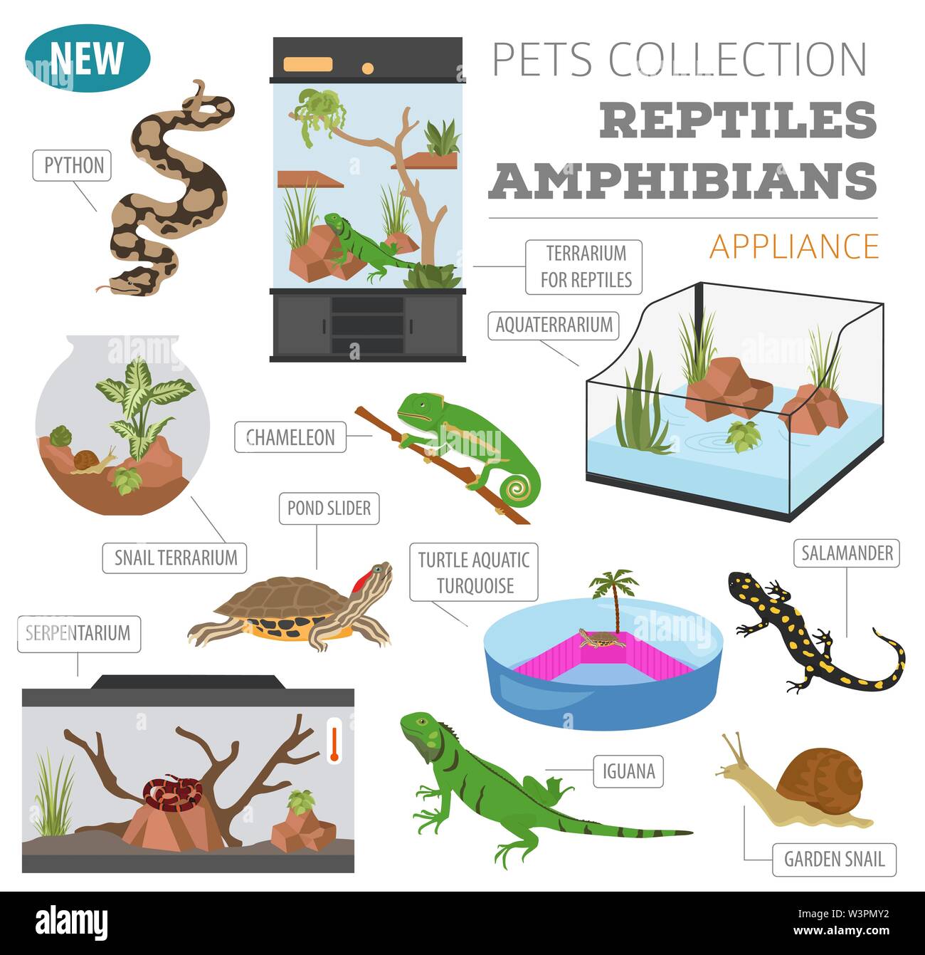 Pet-Gerät Icon Set Flat Style isoliert auf Weiss. Reptilien und Amphibien care Collection. Erstellen Sie eigene Infografik. Vector Illustration Stock Vektor