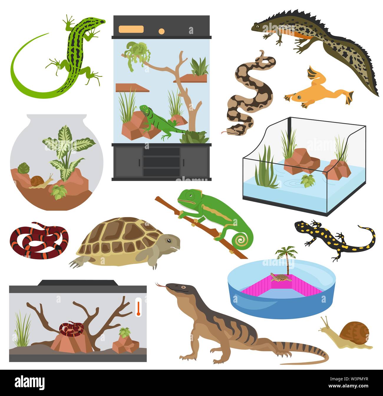 Pet-Gerät Icon Set Flat Style isoliert auf Weiss. Reptilien und Amphibien care Collection. Erstellen Sie eigene Infografik. Vector Illustration Stock Vektor