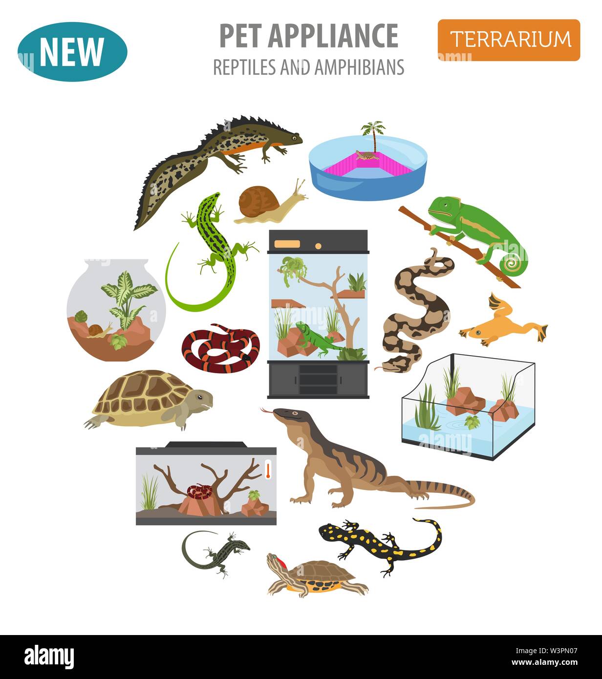 Pet-Gerät Icon Set Flat Style isoliert auf Weiss. Reptilien und Amphibien care Collection. Erstellen Sie eigene Infografik. Vector Illustration Stock Vektor