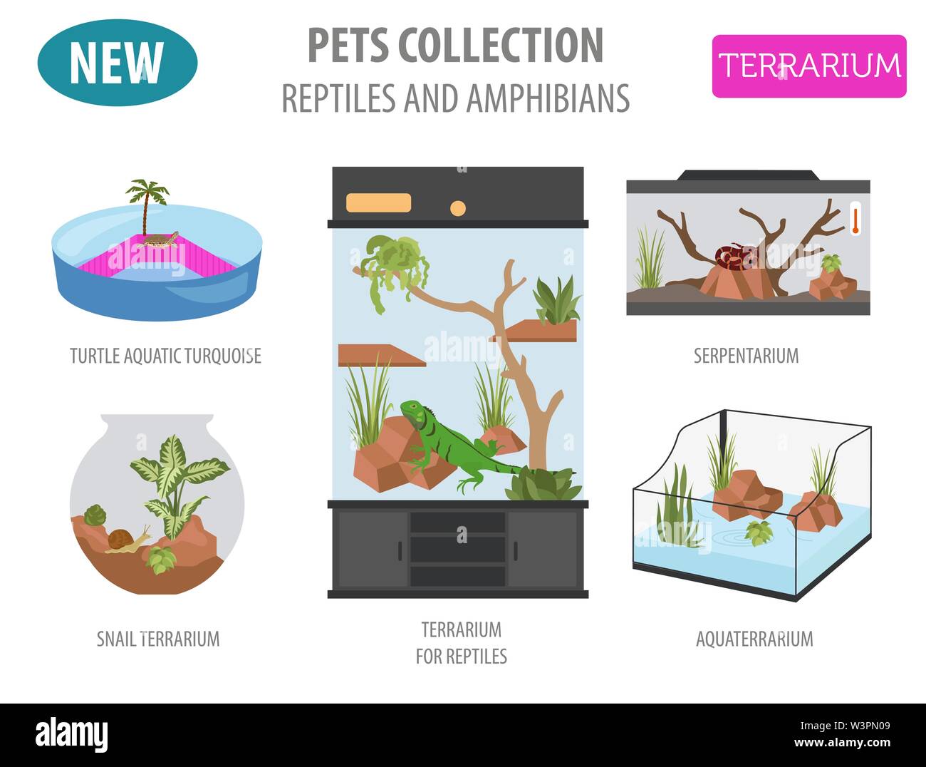 Pet-Gerät Icon Set Flat Style isoliert auf Weiss. Reptilien und Amphibien care Collection. Erstellen Sie eigene Infografik. Vector Illustration Stock Vektor