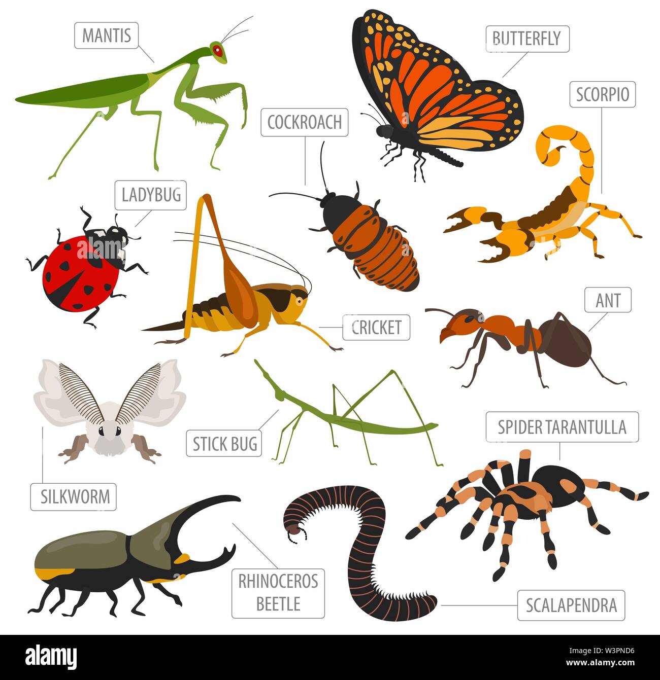 Pet Insekten Rassen Icon Set Flat Style isoliert auf Weiss. Haus halten Wanzen, Käfer, Sticks, Spinnen und andere Sammlung. Eigene Infografik ab Erstellen Stock Vektor