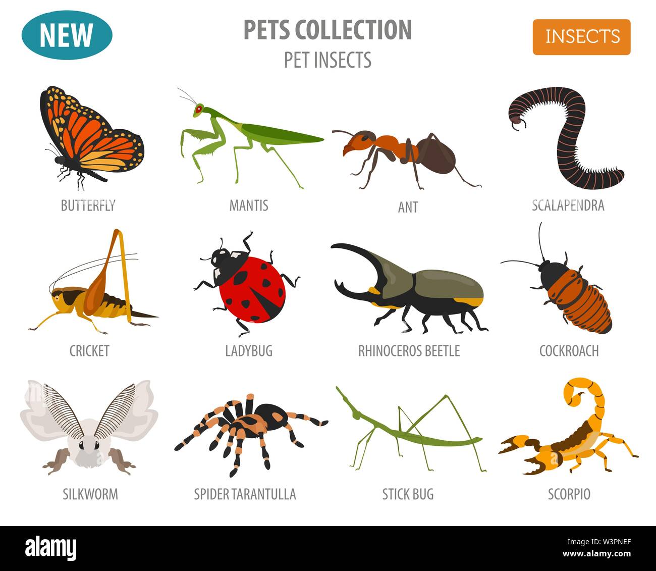 Pet Insekten Rassen Icon Set Flat Style isoliert auf Weiss. Haus halten Wanzen, Käfer, Sticks, Spinnen und andere Sammlung. Eigene Infografik ab Erstellen Stock Vektor