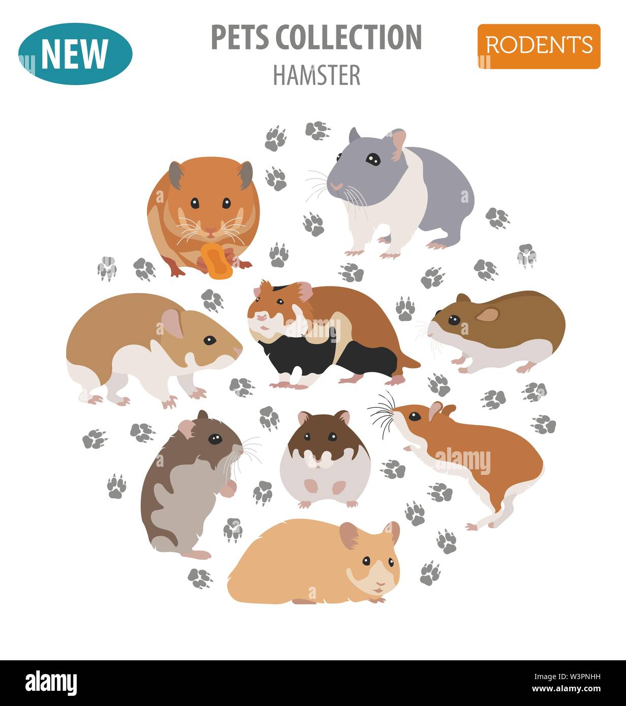 Hamster Rassen Icon Set Flat Style isoliert auf Weiss. Nagetiere Sammlung. Erstellen Sie eigene Infografik über Haustiere. Vector Illustration Stock Vektor