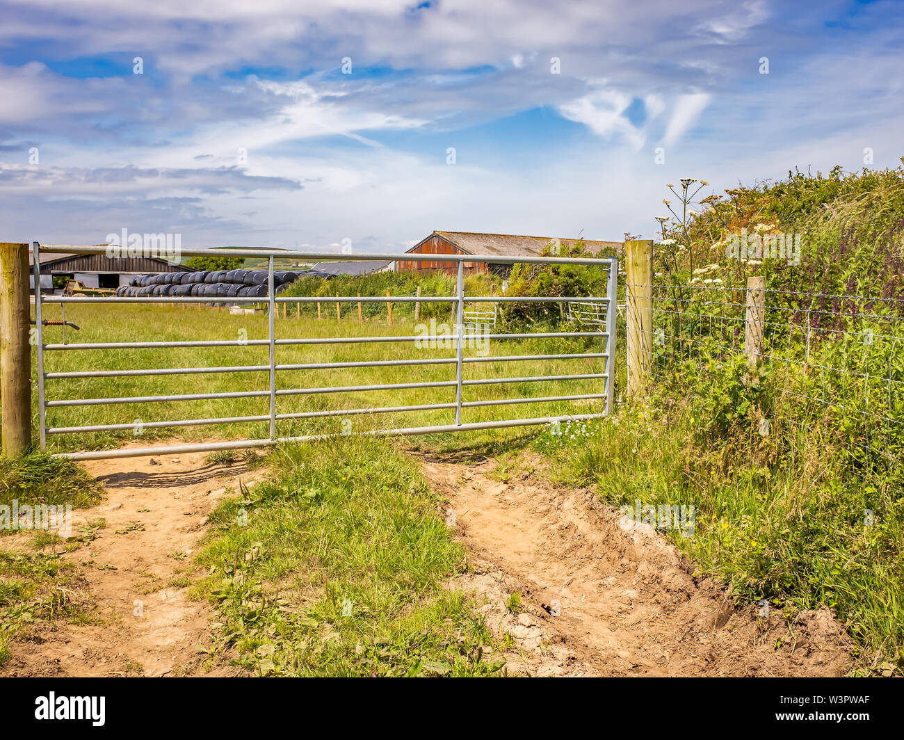 Metall Eingangstor zu einem Bauernhof in der Gower Region South Wales Stockfoto