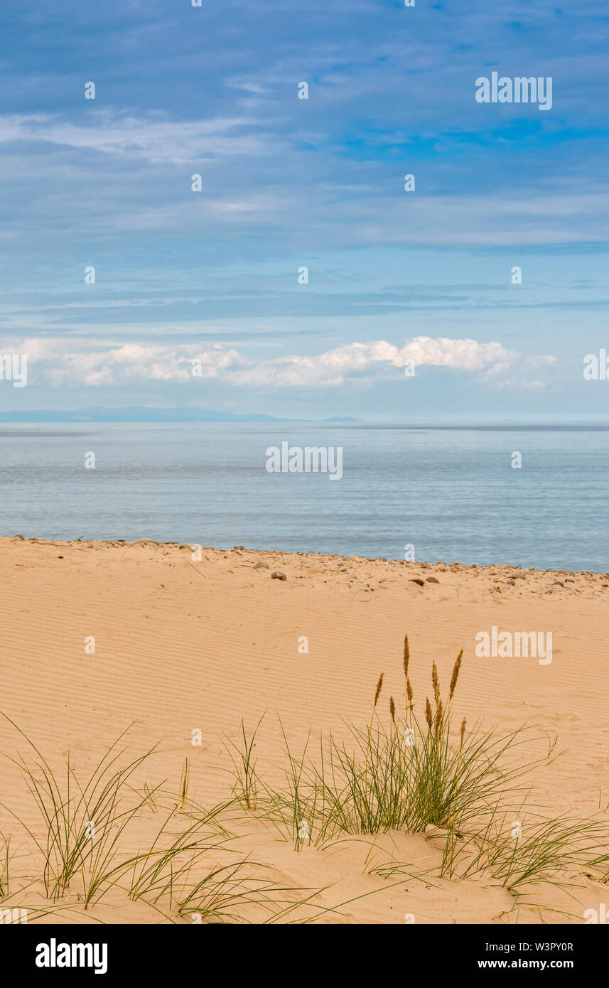 FINDHORN Küste von Moray in Schottland IM SOMMER AN DEN STRAND MIT MARRAM oder STRANDHAFER Ammophila Stockfoto