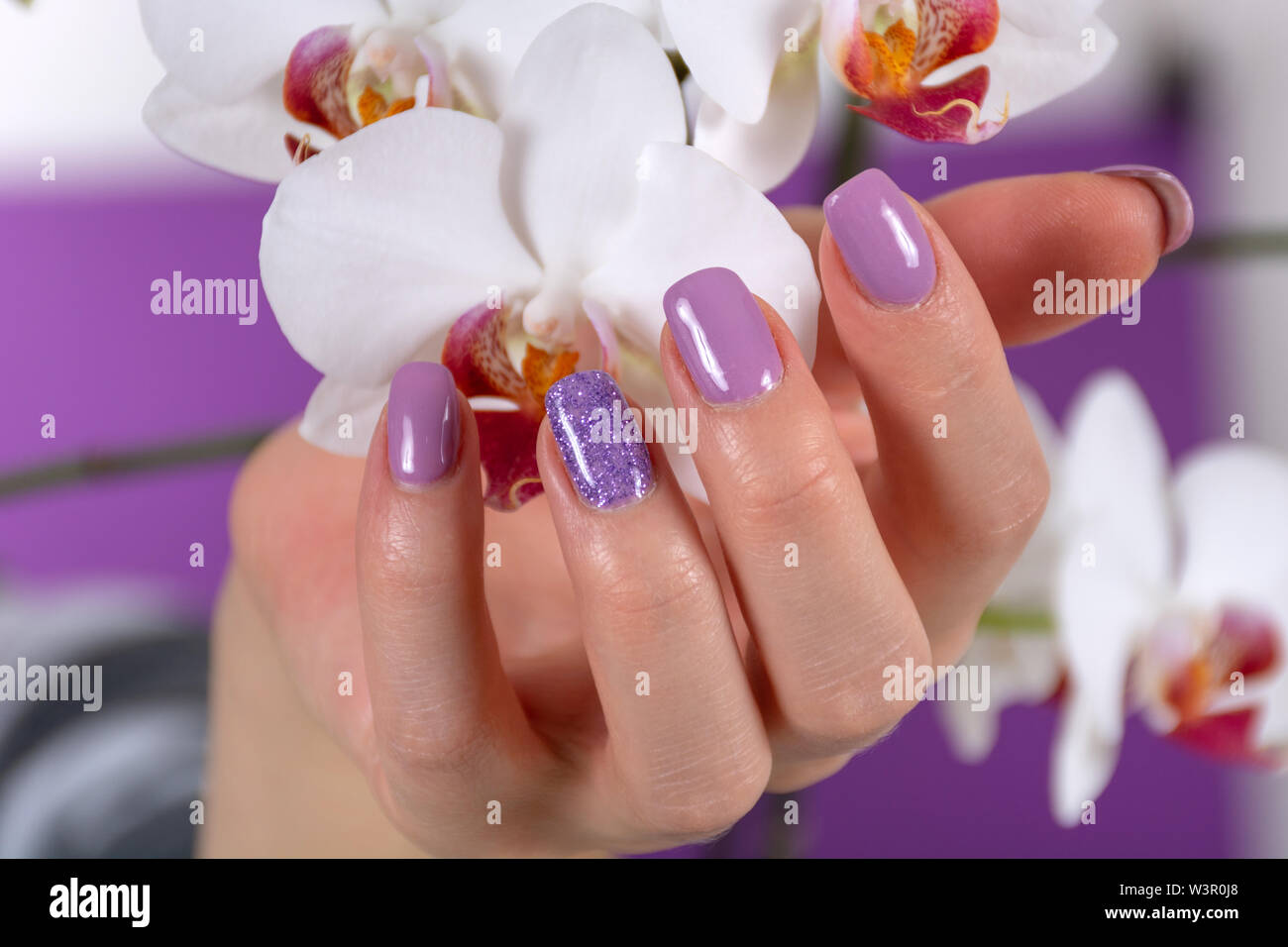 Weibliche hand mit einem lila Farbe Nägel polnischen Gel und schöne Orchidee Dekoration auf lila Hintergrund im Studio. Maniküre und Schönheit Konzept Stockfoto