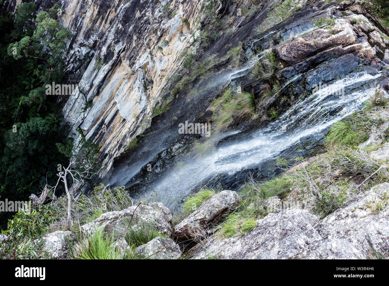 Minyon fällt bei Nightcap National Park im nördlichen Teil der Flüsse Region von New South Wales, Australien Stockfoto