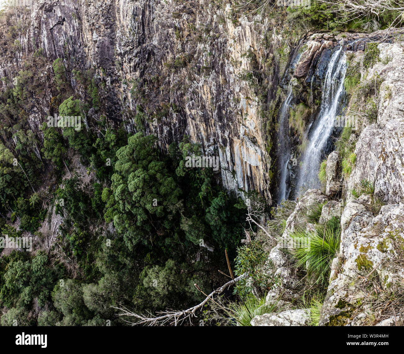 Minyon fällt bei Nightcap National Park im nördlichen Teil der Flüsse Region von New South Wales, Australien Stockfoto