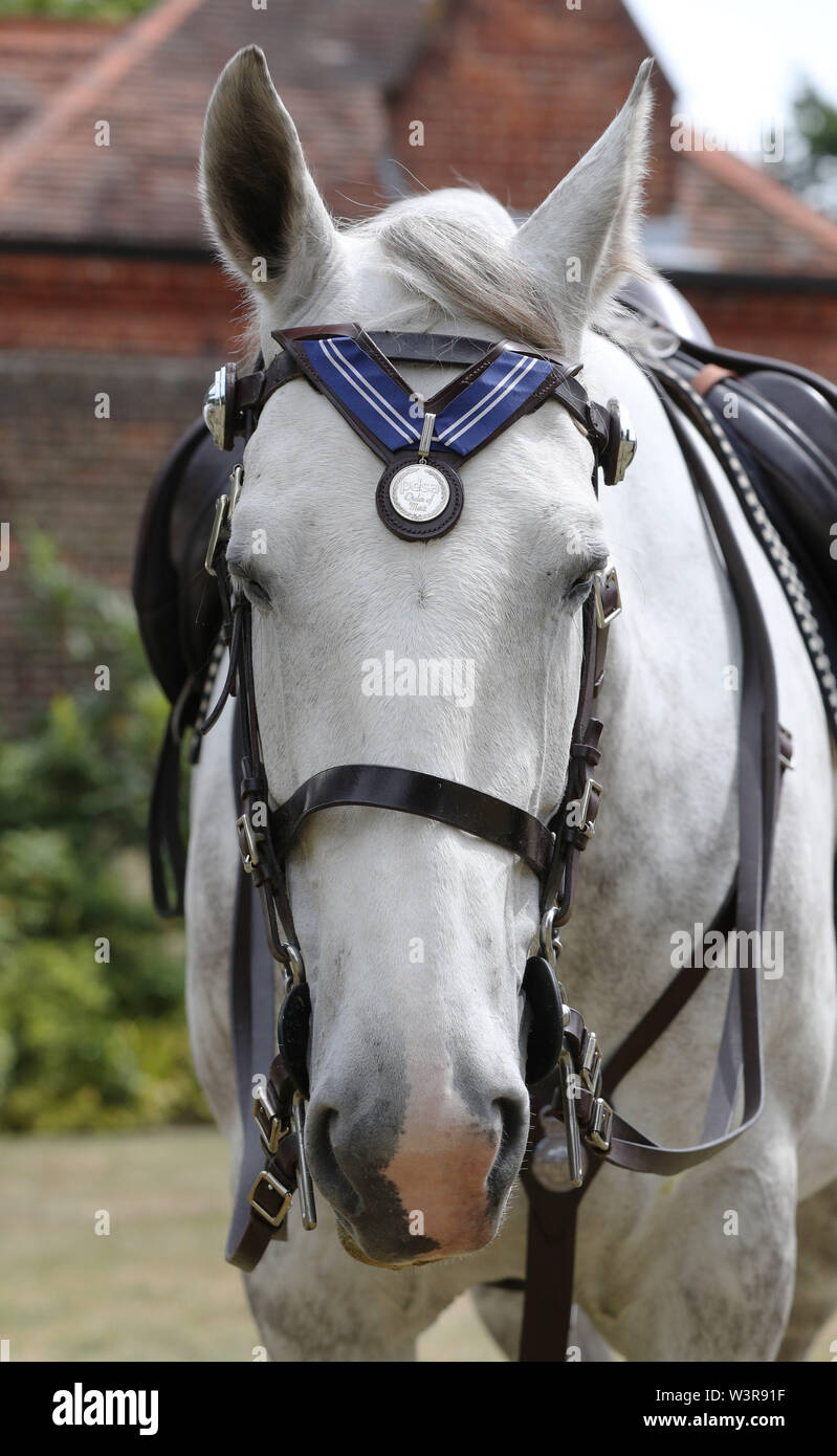 Die Metropolitan Police Horse Tempest trägt den PDSA Bundesverdienstkreuz Auszeichnung im Namen des Keston in Hampton Court Palace. Stockfoto