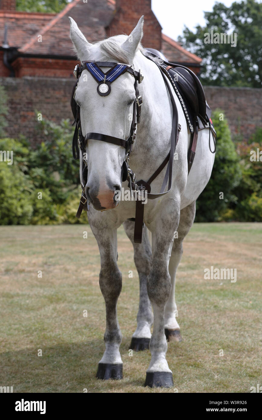 Die Metropolitan Police Horse Tempest trägt den PDSA Bundesverdienstkreuz Auszeichnung im Namen des Keston in Hampton Court Palace. Stockfoto