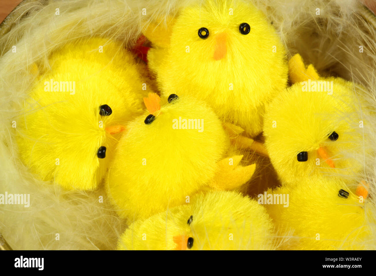 Eine Gruppe von kleinen niedlichen Ostern Küken in Nest mit weichen Federn Stockfoto